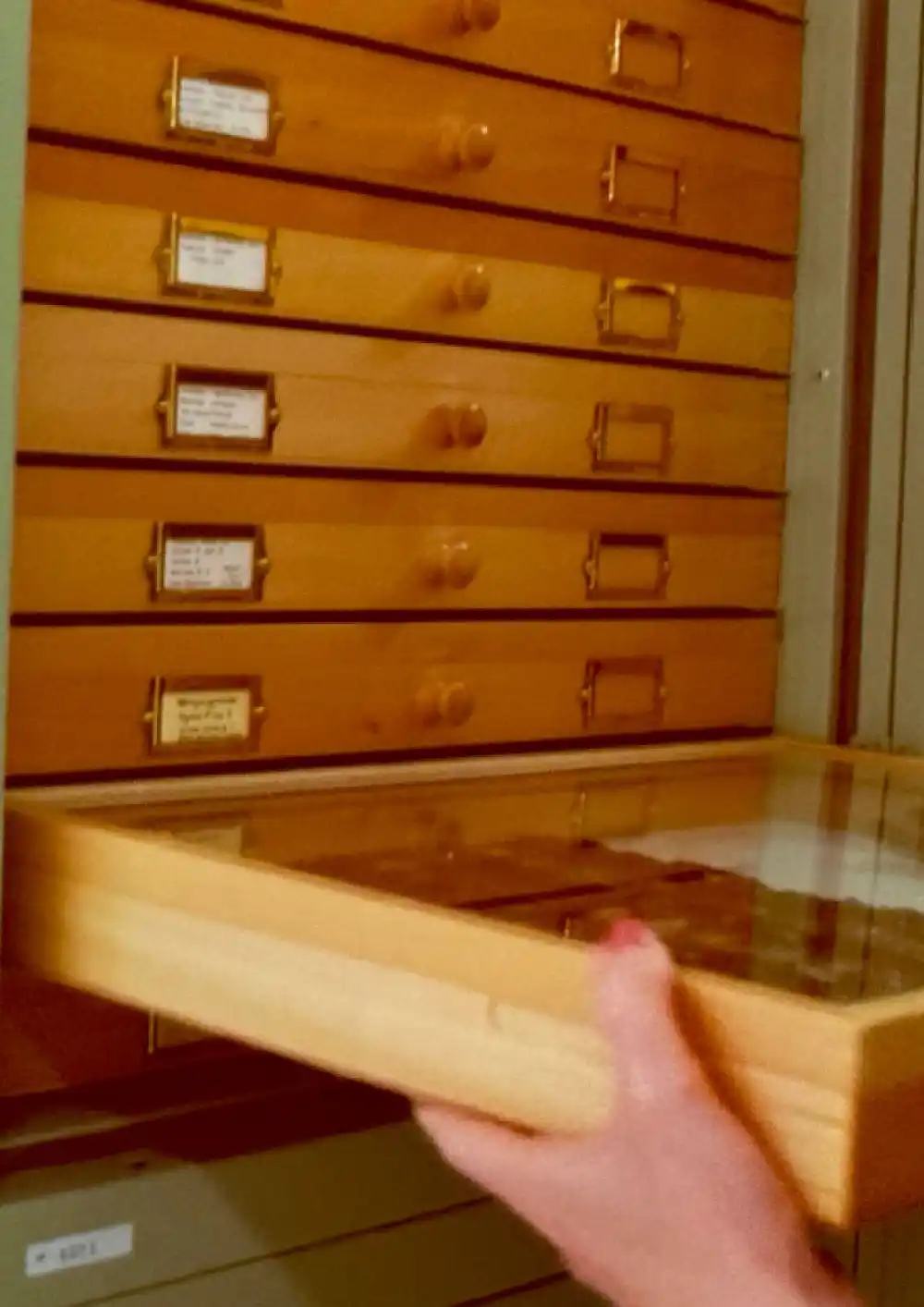 Collection Stories Blog